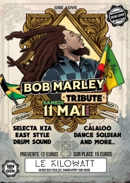 BOB MARLEY TRIBUTE 